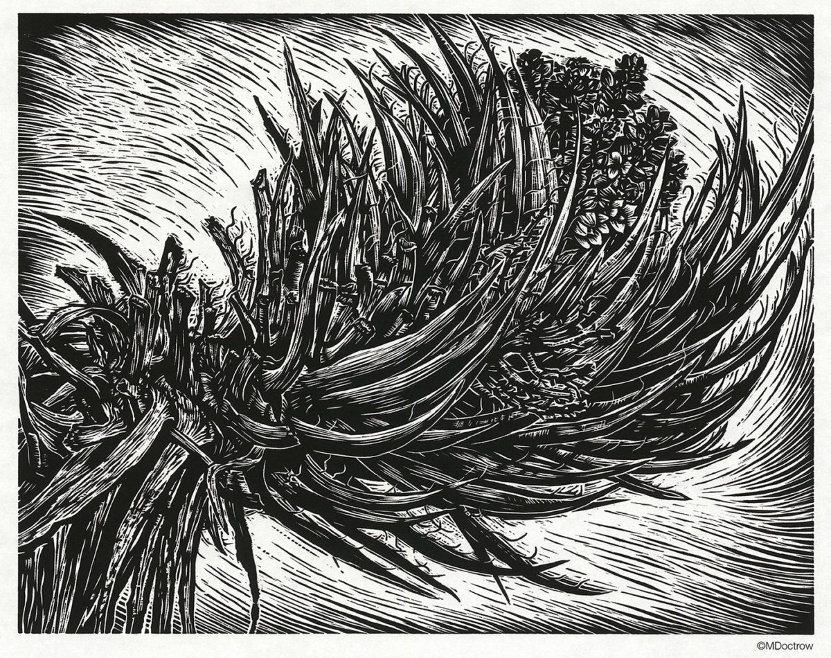 art